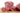 Beef Short Ribs - Mrs. Garcia's Meats | Buy Meats Online | Trusted for Over 25 Years